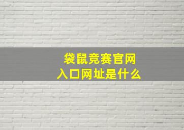 袋鼠竞赛官网入口网址是什么