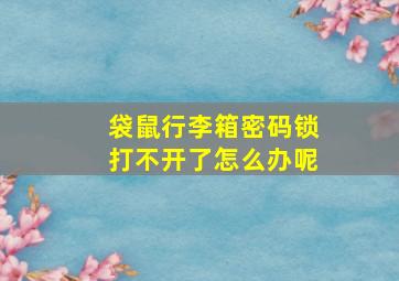 袋鼠行李箱密码锁打不开了怎么办呢