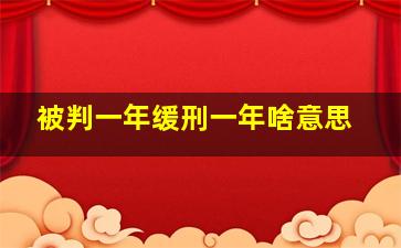 被判一年缓刑一年啥意思