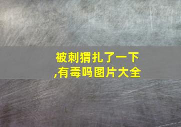 被刺猬扎了一下,有毒吗图片大全