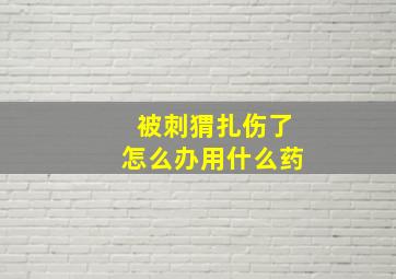 被刺猬扎伤了怎么办用什么药