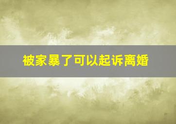 被家暴了可以起诉离婚