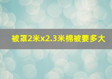 被罩2米x2.3米棉被要多大