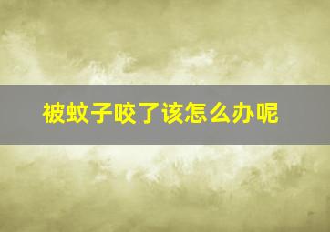 被蚊子咬了该怎么办呢