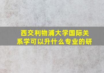 西交利物浦大学国际关系学可以升什么专业的研