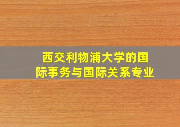 西交利物浦大学的国际事务与国际关系专业