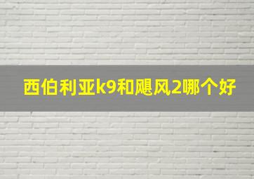 西伯利亚k9和飓风2哪个好