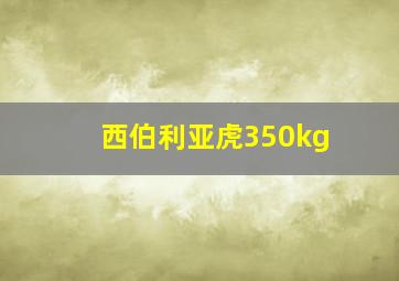 西伯利亚虎350kg