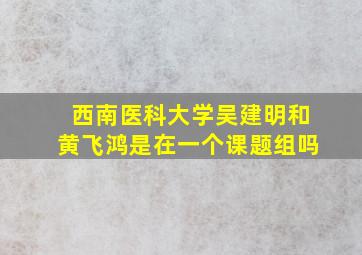 西南医科大学吴建明和黄飞鸿是在一个课题组吗