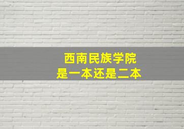 西南民族学院是一本还是二本