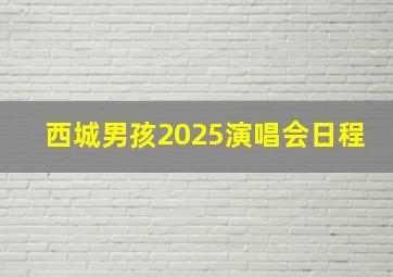 西城男孩2025演唱会日程