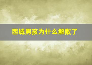 西城男孩为什么解散了