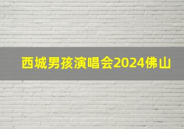 西城男孩演唱会2024佛山