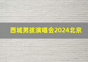 西城男孩演唱会2024北京