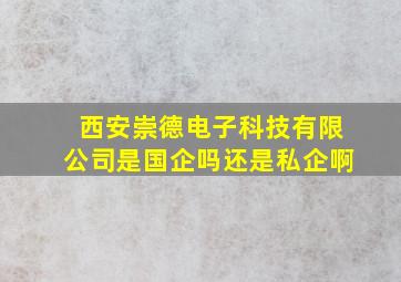 西安崇德电子科技有限公司是国企吗还是私企啊