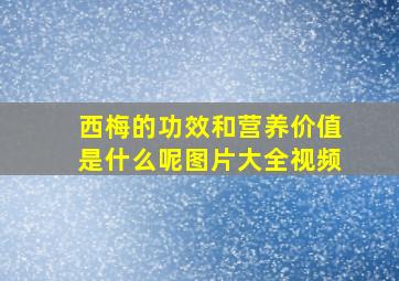 西梅的功效和营养价值是什么呢图片大全视频