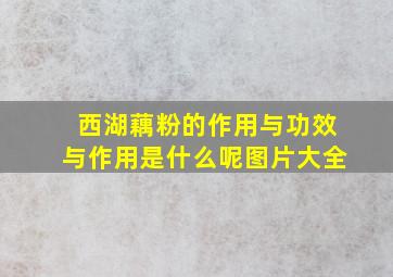 西湖藕粉的作用与功效与作用是什么呢图片大全