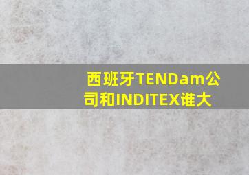 西班牙TENDam公司和INDITEX谁大