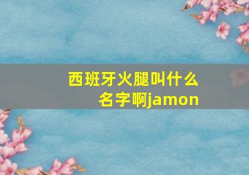 西班牙火腿叫什么名字啊jamon