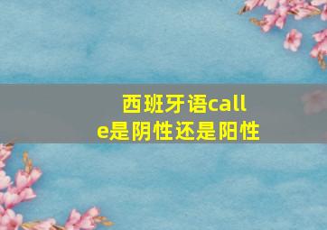 西班牙语calle是阴性还是阳性