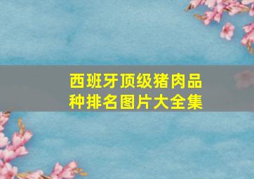 西班牙顶级猪肉品种排名图片大全集