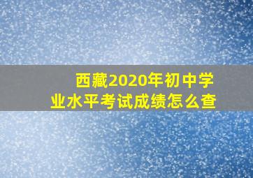 西藏2020年初中学业水平考试成绩怎么查