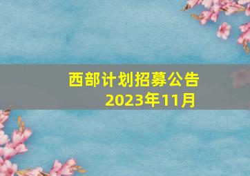 西部计划招募公告2023年11月