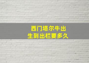 西门塔尔牛出生到出栏要多久