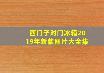 西门子对门冰箱2019年新款图片大全集