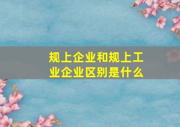 规上企业和规上工业企业区别是什么