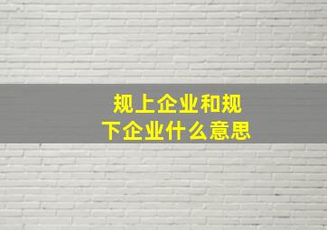 规上企业和规下企业什么意思