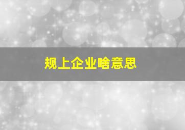 规上企业啥意思