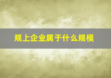 规上企业属于什么规模