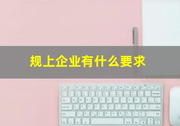 规上企业有什么要求