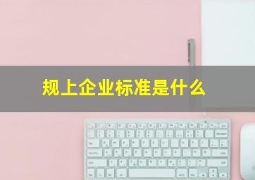 规上企业标准是什么