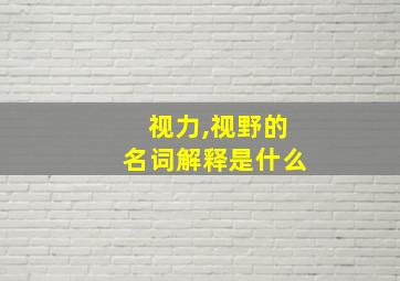 视力,视野的名词解释是什么