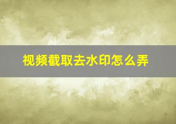 视频截取去水印怎么弄