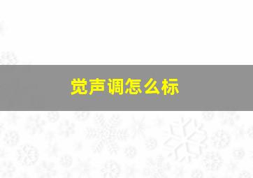 觉声调怎么标