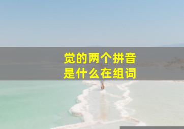 觉的两个拼音是什么在组词