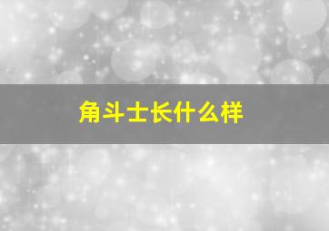 角斗士长什么样