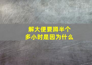 解大便要蹲半个多小时是因为什么