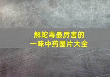 解蛇毒最厉害的一味中药图片大全