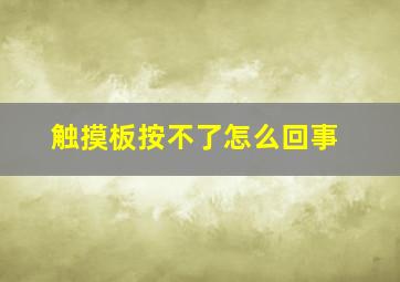 触摸板按不了怎么回事