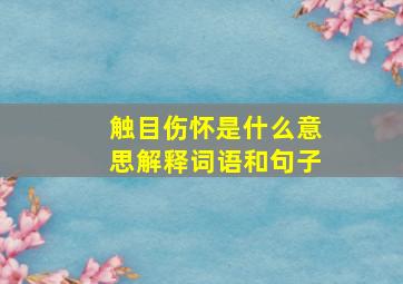 触目伤怀是什么意思解释词语和句子