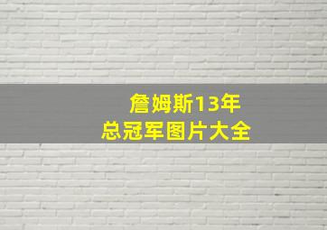 詹姆斯13年总冠军图片大全