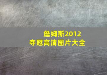 詹姆斯2012夺冠高清图片大全