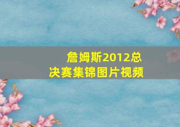 詹姆斯2012总决赛集锦图片视频