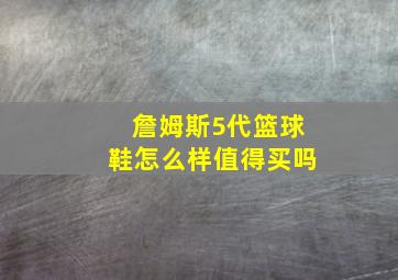 詹姆斯5代篮球鞋怎么样值得买吗