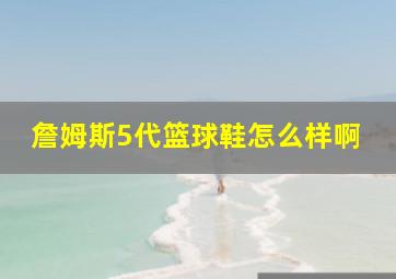 詹姆斯5代篮球鞋怎么样啊