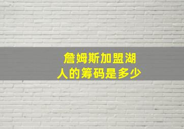 詹姆斯加盟湖人的筹码是多少